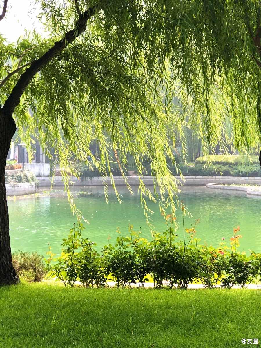 夏季清凉照大暑至