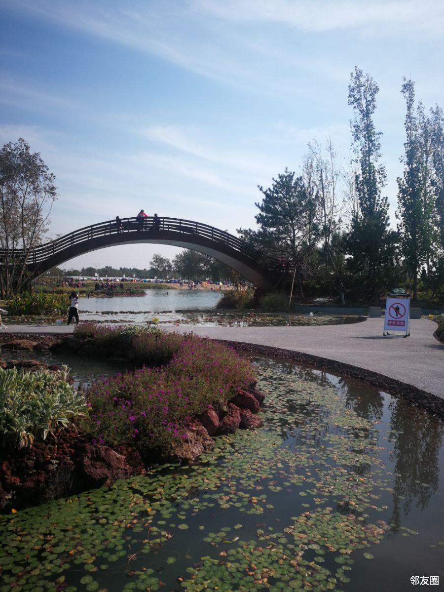 北京温榆河公园西园图片