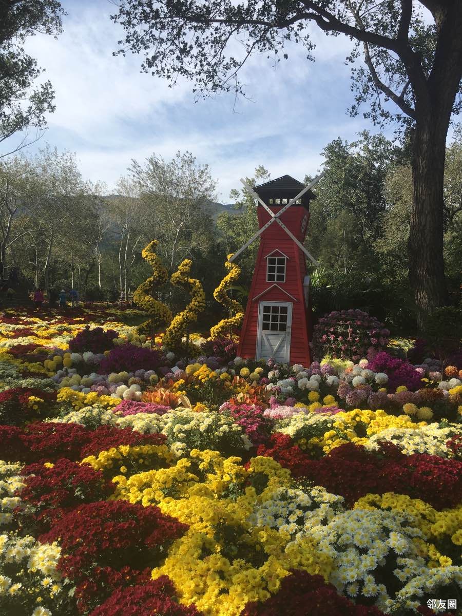 北京植物园第二八届北京市花展