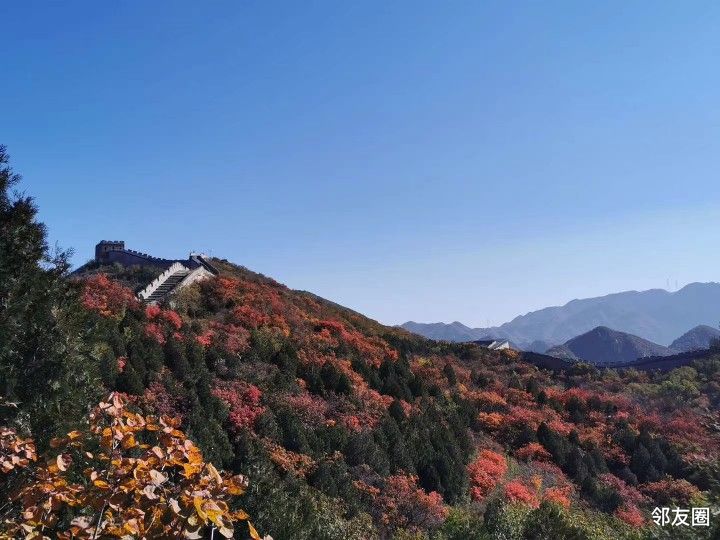 紅葉觀賞正當時我也湊湊熱鬧紅葉嶺分享