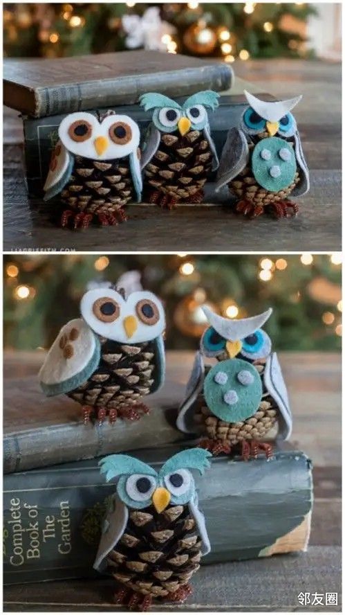 【周末爬山逛公园捡来的松果,带孩子做实验做手工,有创意又涨知识