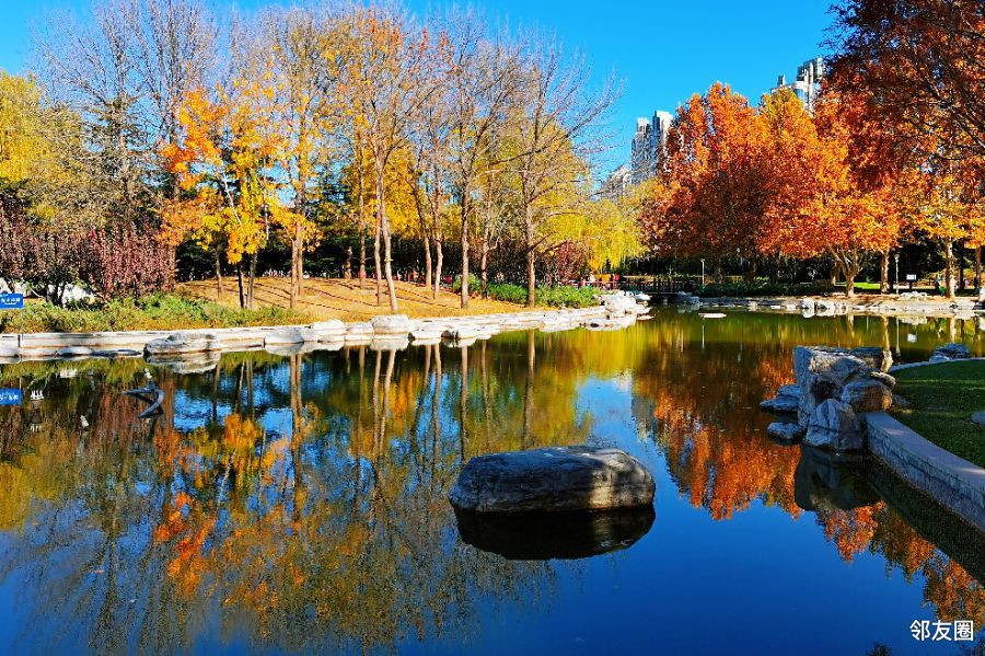初冬的北小河公园美爆了