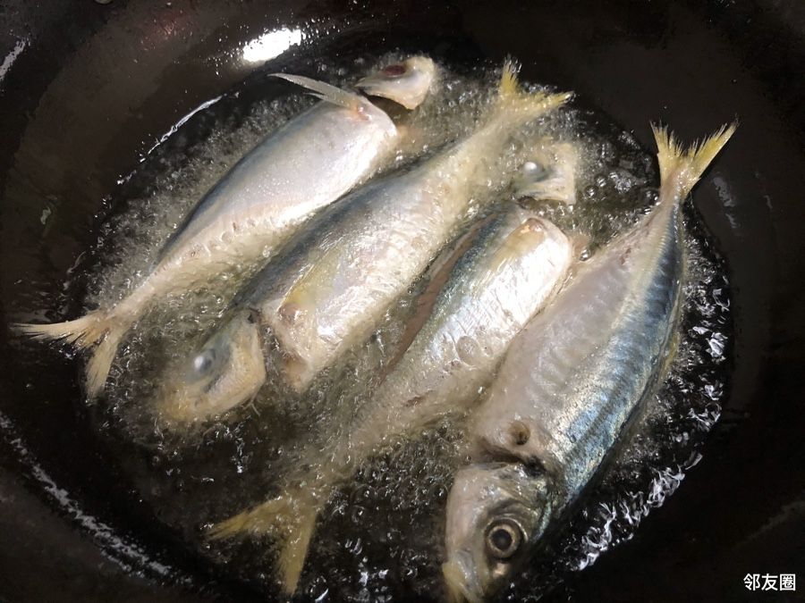 清蒸九齒扇蝦,閩南的紅蟳飯,清蒸鰳魚,清蒸紅帶魚,幹炸巴浪魚.