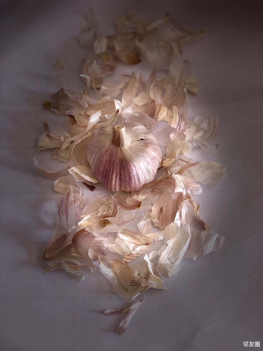 生活不止鸡毛蒜皮还有花在绽放玫瑰呲牙