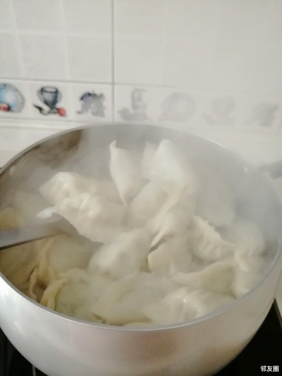 冬日请就味大羊家常饭刚出锅的热腾腾的茴香馅饺子吃了就暖和啦