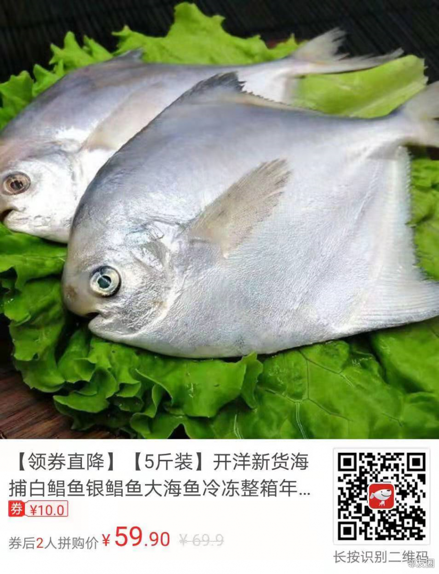 【5斤装】开洋新货海捕白鲳鱼银鲳鱼大海鱼冷冻整箱年货非养殖白鱼