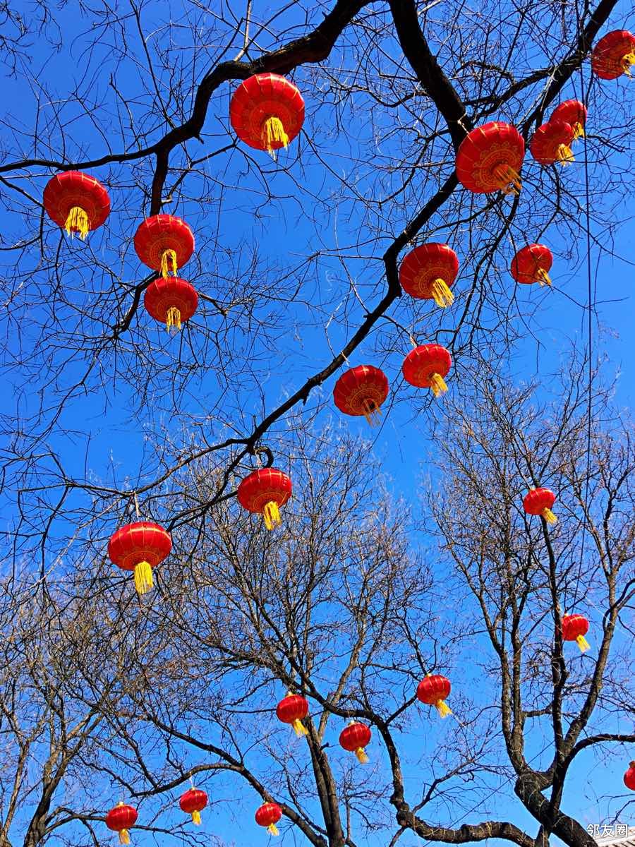 来北海景山公园感受节日气氛看大红灯笼高高挂