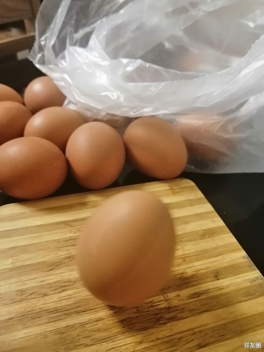 玩玩立春立鸡蛋