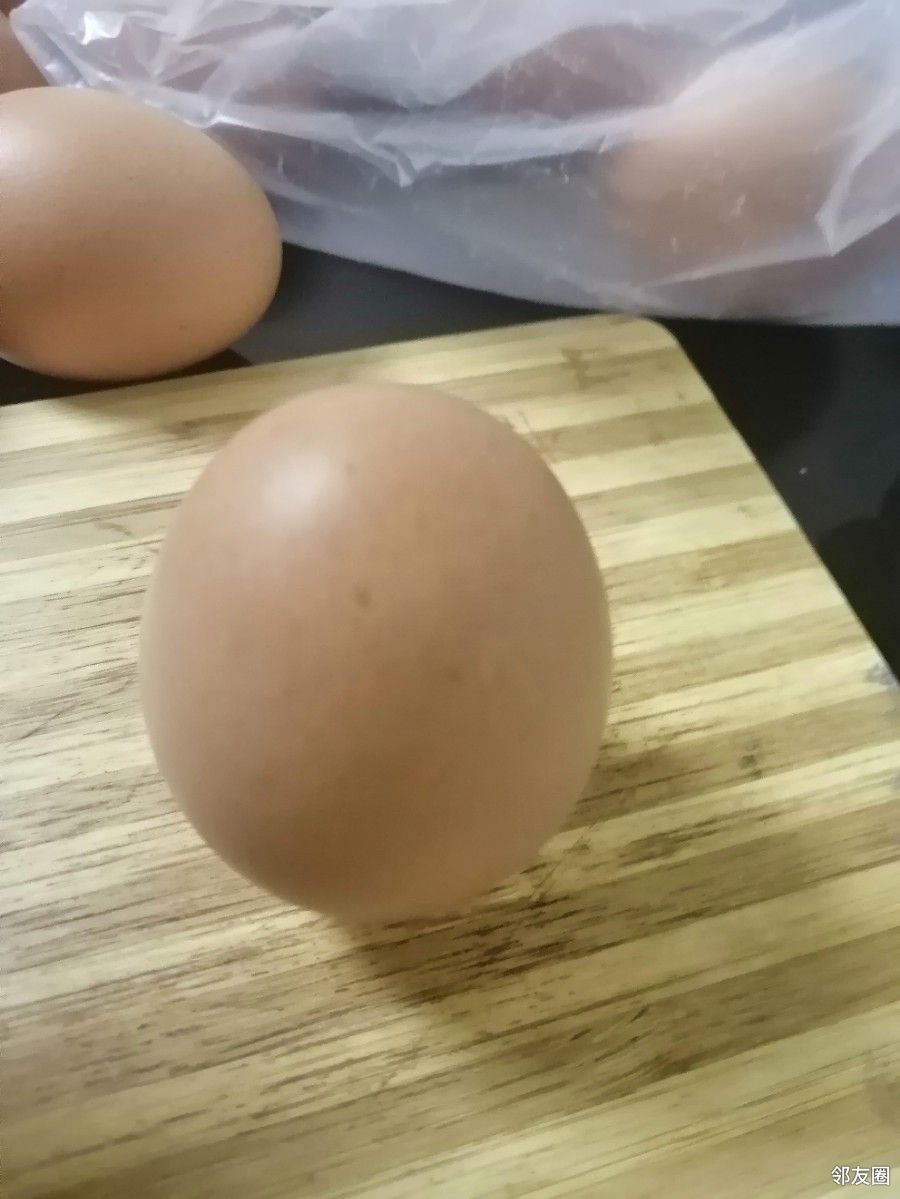 玩玩立春立鸡蛋