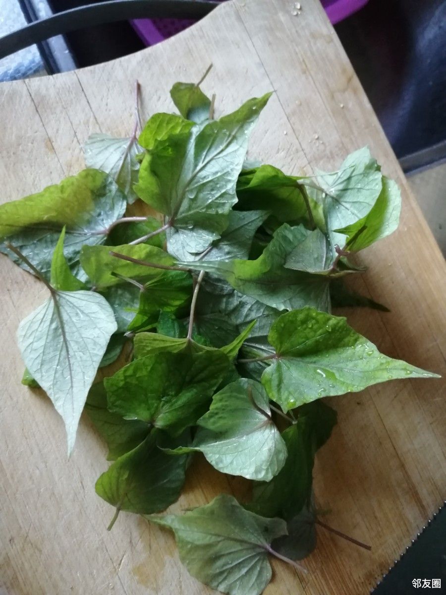 白薯叶做的鸡蛋饼