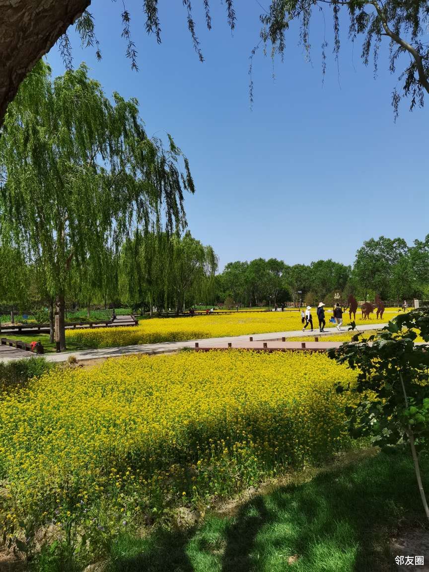 立夏打卡中坞公园玉泉山上玉峰塔