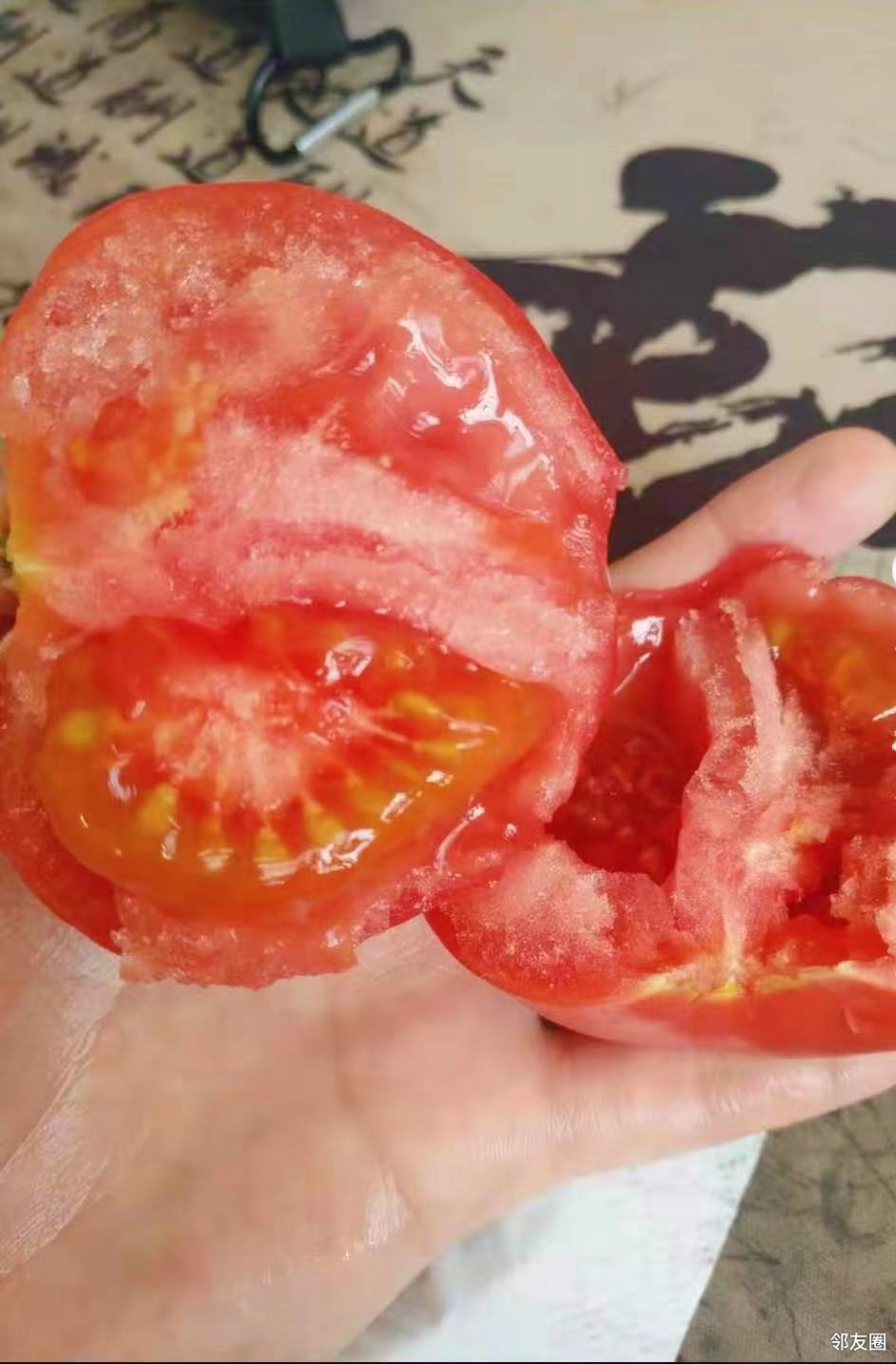 桃太郎西红柿618惊喜活动5斤仅289上过国宴的西红柿