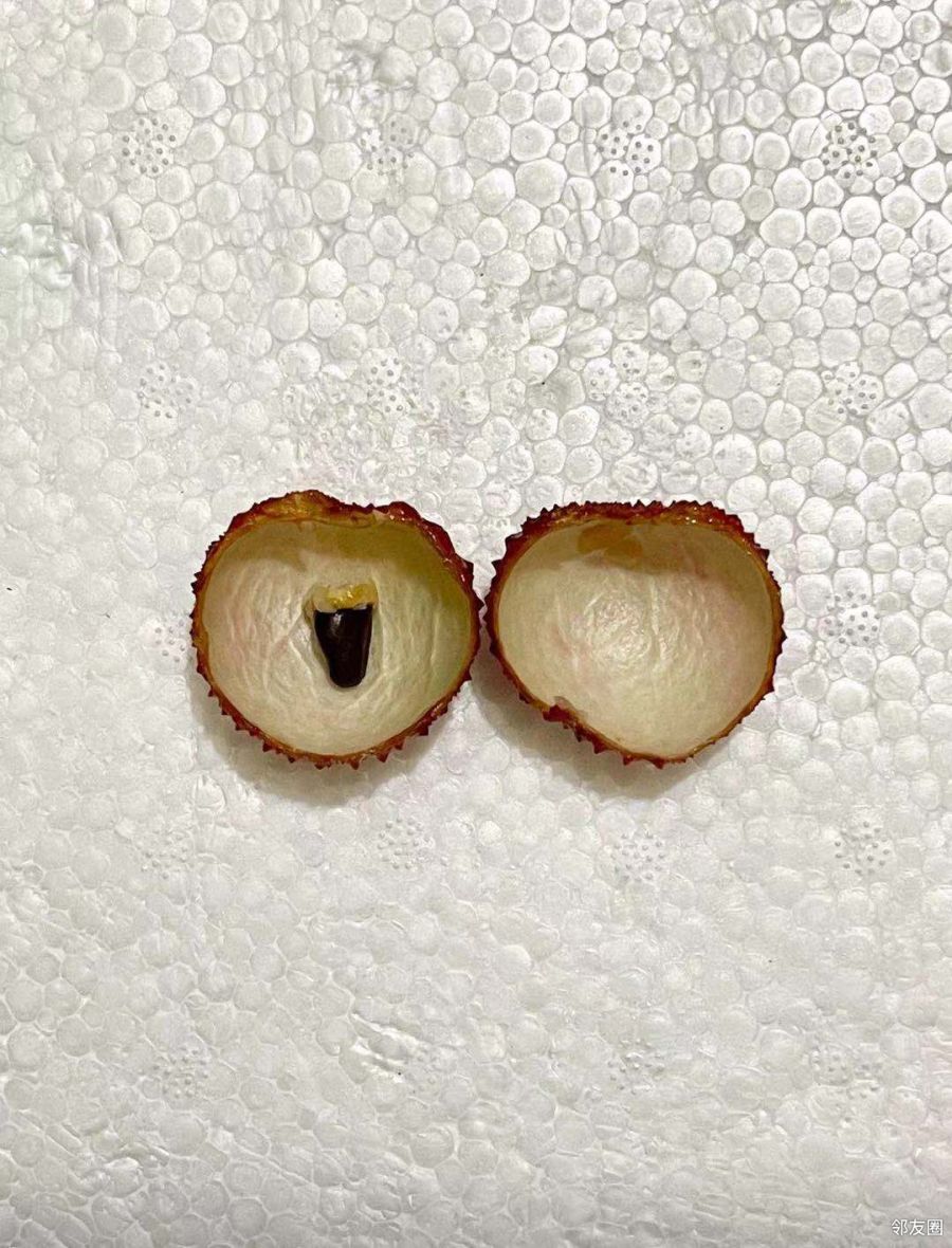 朋友从广西灵山县给寄的桂味荔枝皮薄核小肉质鲜甜不愧是荔枝之乡