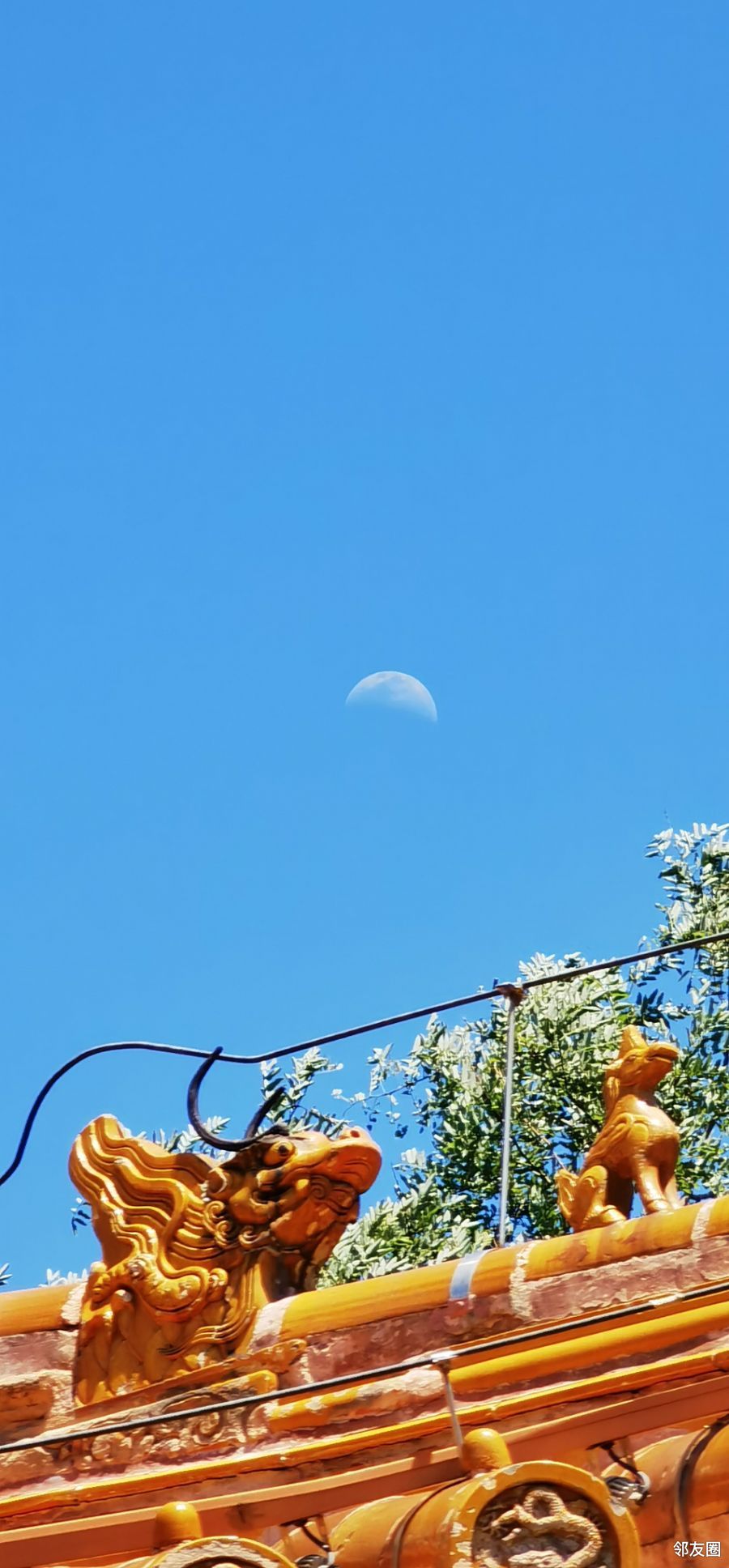 半个月亮伴夏日艳阳