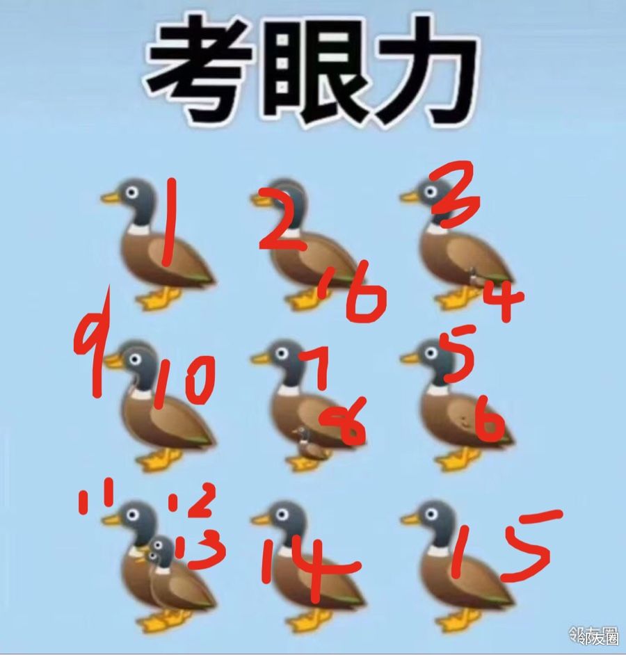 考眼力图片中有几只鹅仔细观察好好数一下