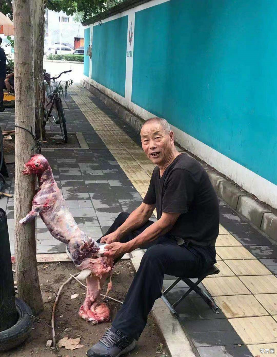 北京这老人在路边当街杀狗路人上前制止劝说老人不听