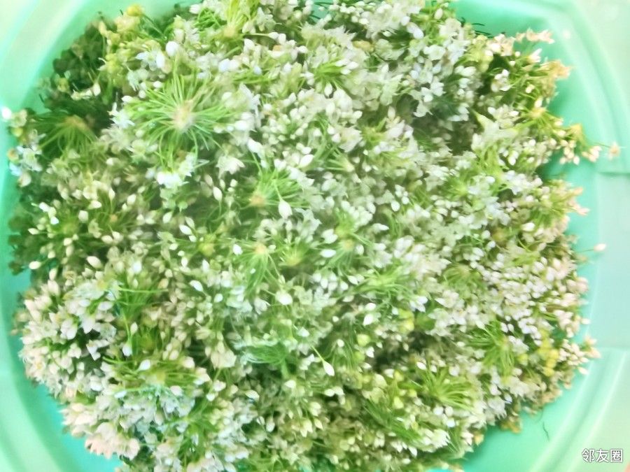 但是损失了一个绞肉机综合邻友们推荐的方法,做的韭菜花非常不错2021