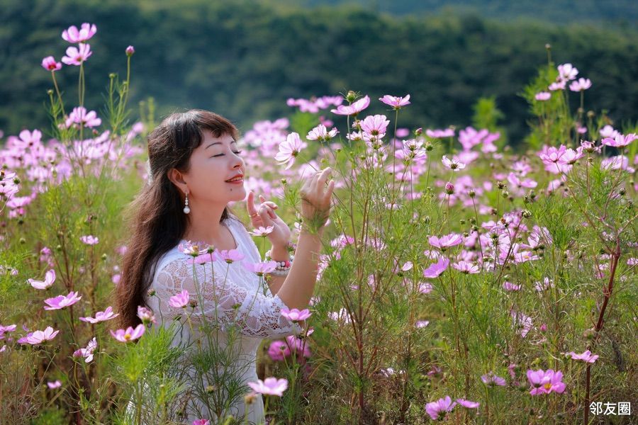 秋日樂遊遊邂逅唯美之半山花海