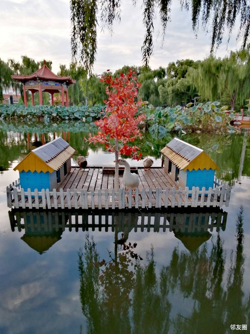 秋日乐游游美如仙境的福海公园