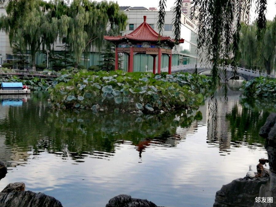 秋日乐游游美如仙境的福海公园