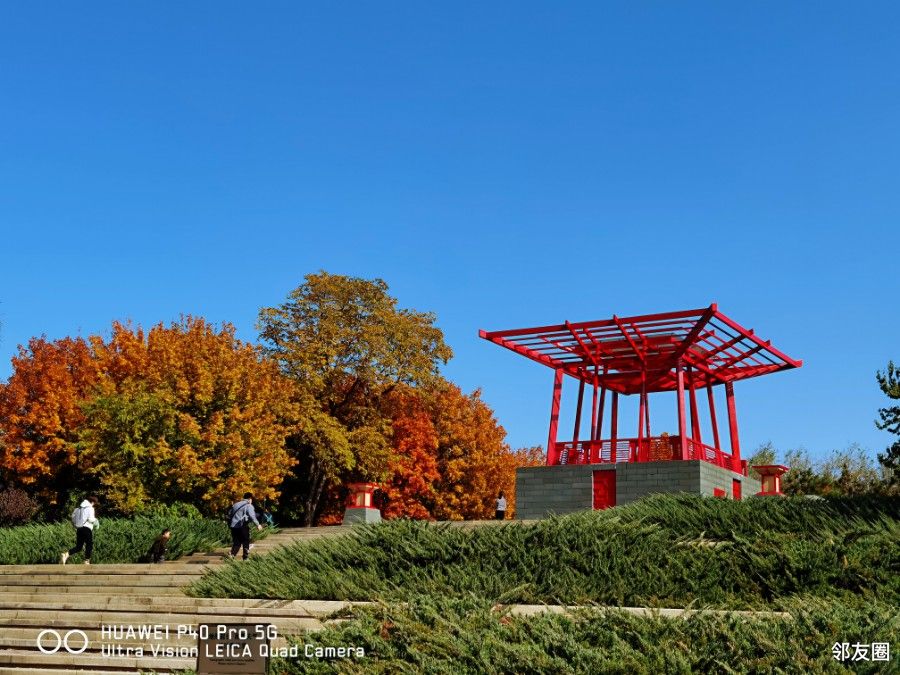 赏秋之旅大望京公园的秋天比香山还美
