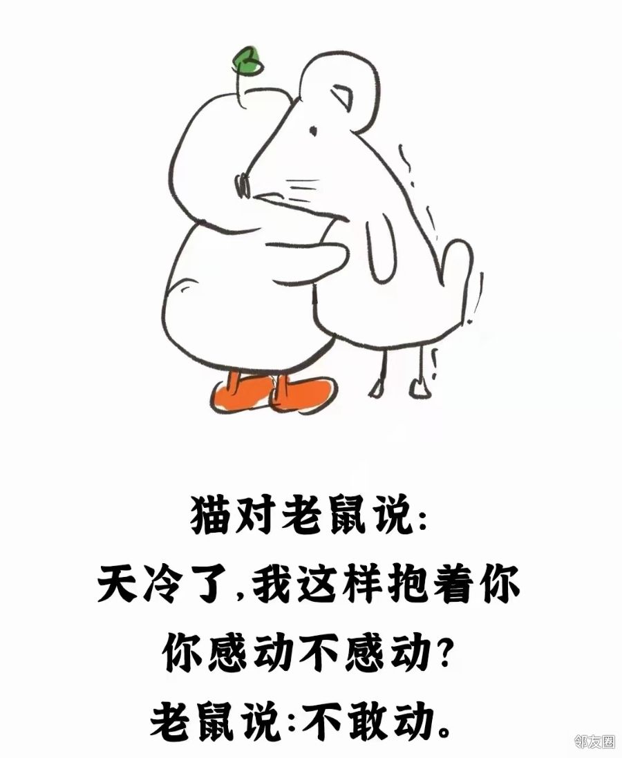 老鼠说:不敢动.你感动不感动?