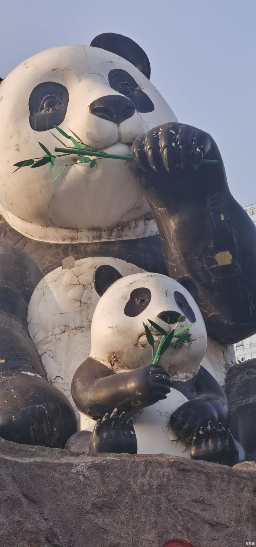 咱望京大熊猫太旧了吧啥时候换个新的呢